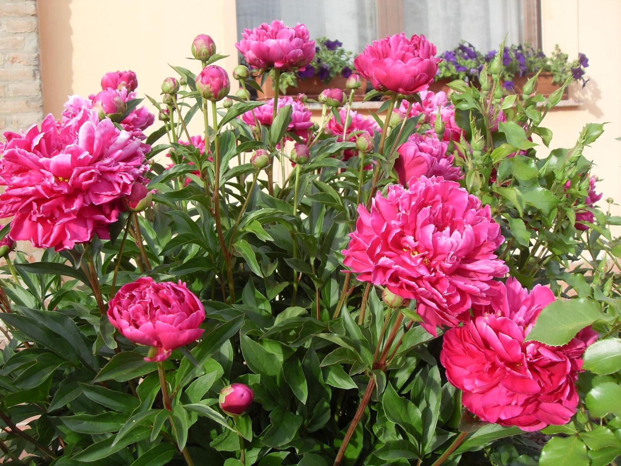 Agroturismo Agriturismo Lama Di Valle Rosa Ferrara